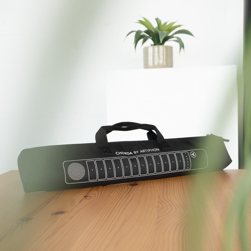 Artiphon Chorda Carry Case