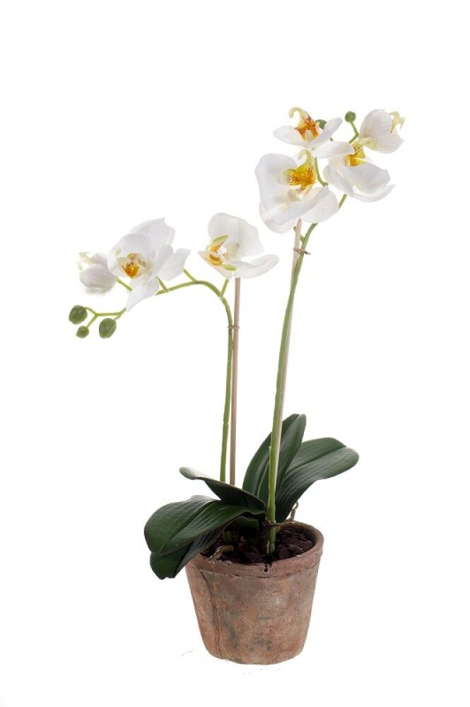 KUNSTIG PLANTE ORKIDÉ PHALAENOPSIS I POTTE HVIT 56CM