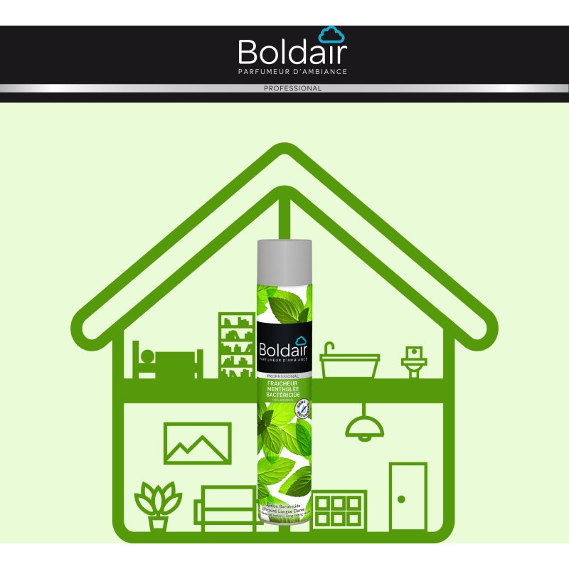 Désodorisant professionnel Boldair fraîcheur mentholée – Aérosol de 500 ml