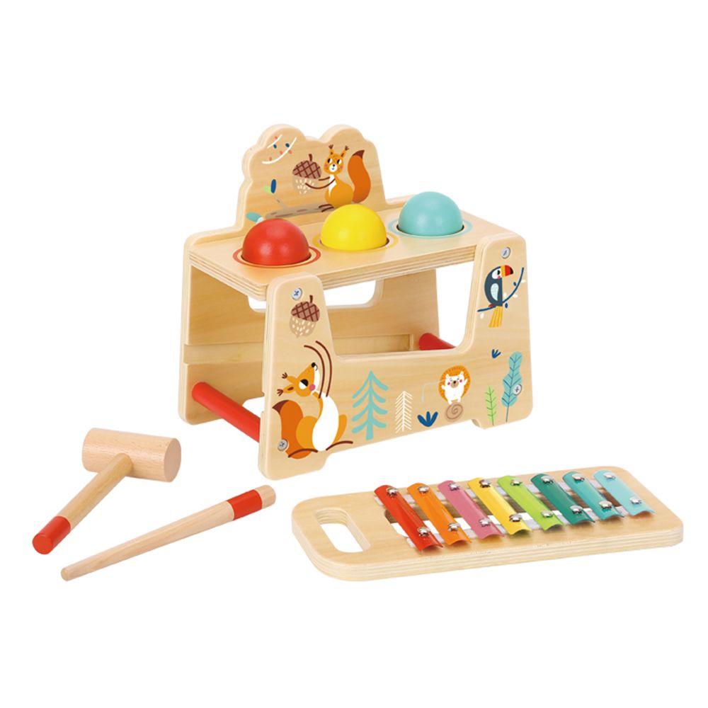 Tooky Toy Kinder Musikspielzeug 2 in 1 Xylophon Hammerspiel TF827 Holz 7-tlg. bunt