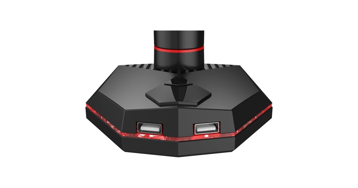 iiyamaDSG3001C-R1 monitorarm  (Zwart)