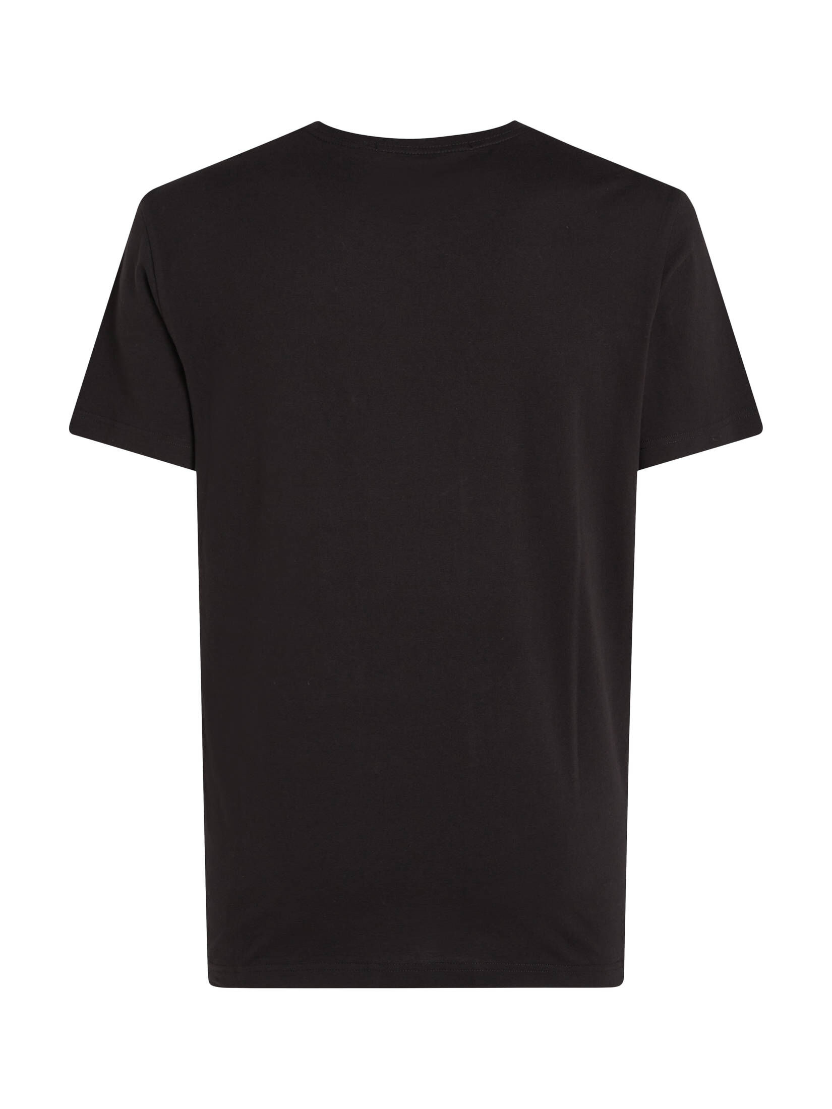 CALVIN KLEIN JEANS| Herren T-Shirt DIFFUSED STACKED TEE