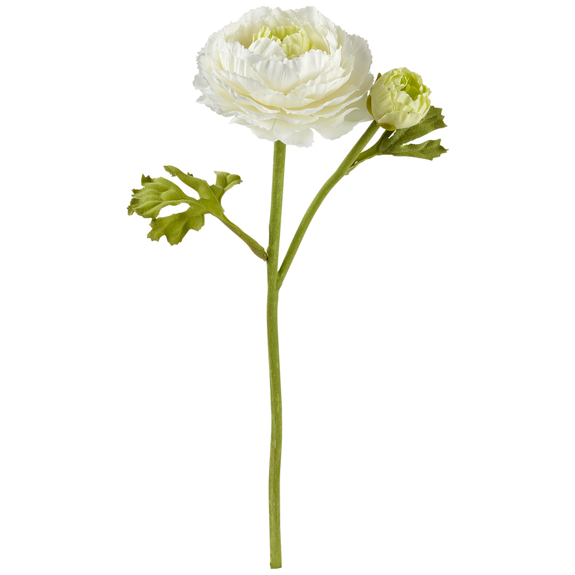 Kunstblume Ranunkel weiss