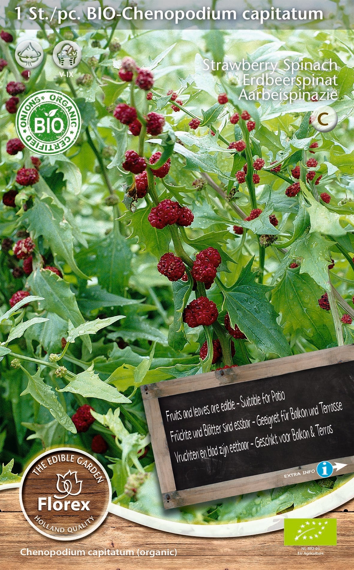 Florex bio aardbeispinazie (Chenopodium capitatum)