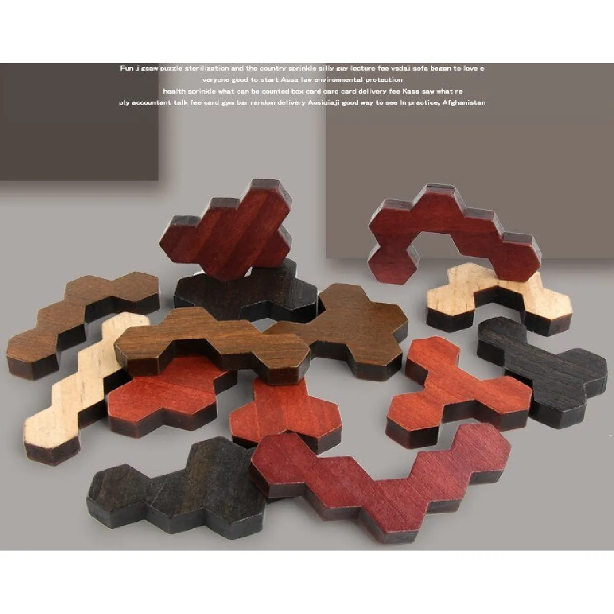 Universal IQ Puzzle en Bois Educatif