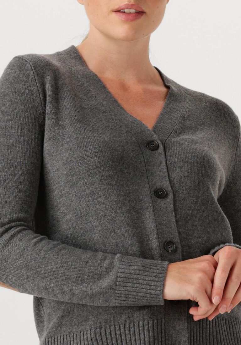 grijze max mara vest apollo