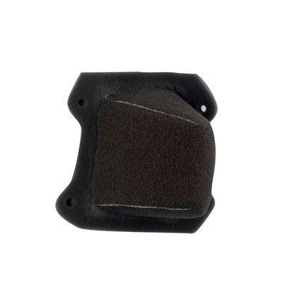 Filtre à air Twin air résistant au feu - 158013FR