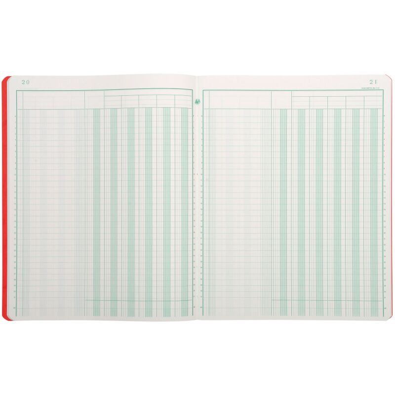 Registre 6 colonnes Exacompta 4060, 25 x 32 cm 80 pages