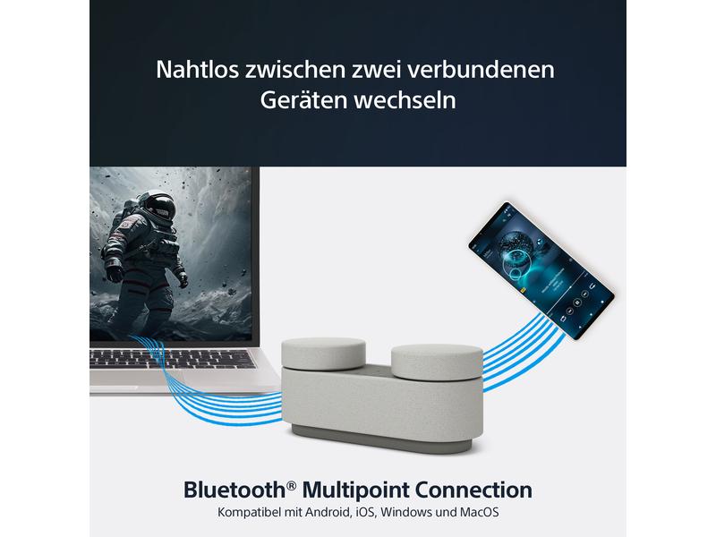 Sony HT-AX7 Grau Tragbares Entertainment-System mit 360 Spatial Sound Mapping