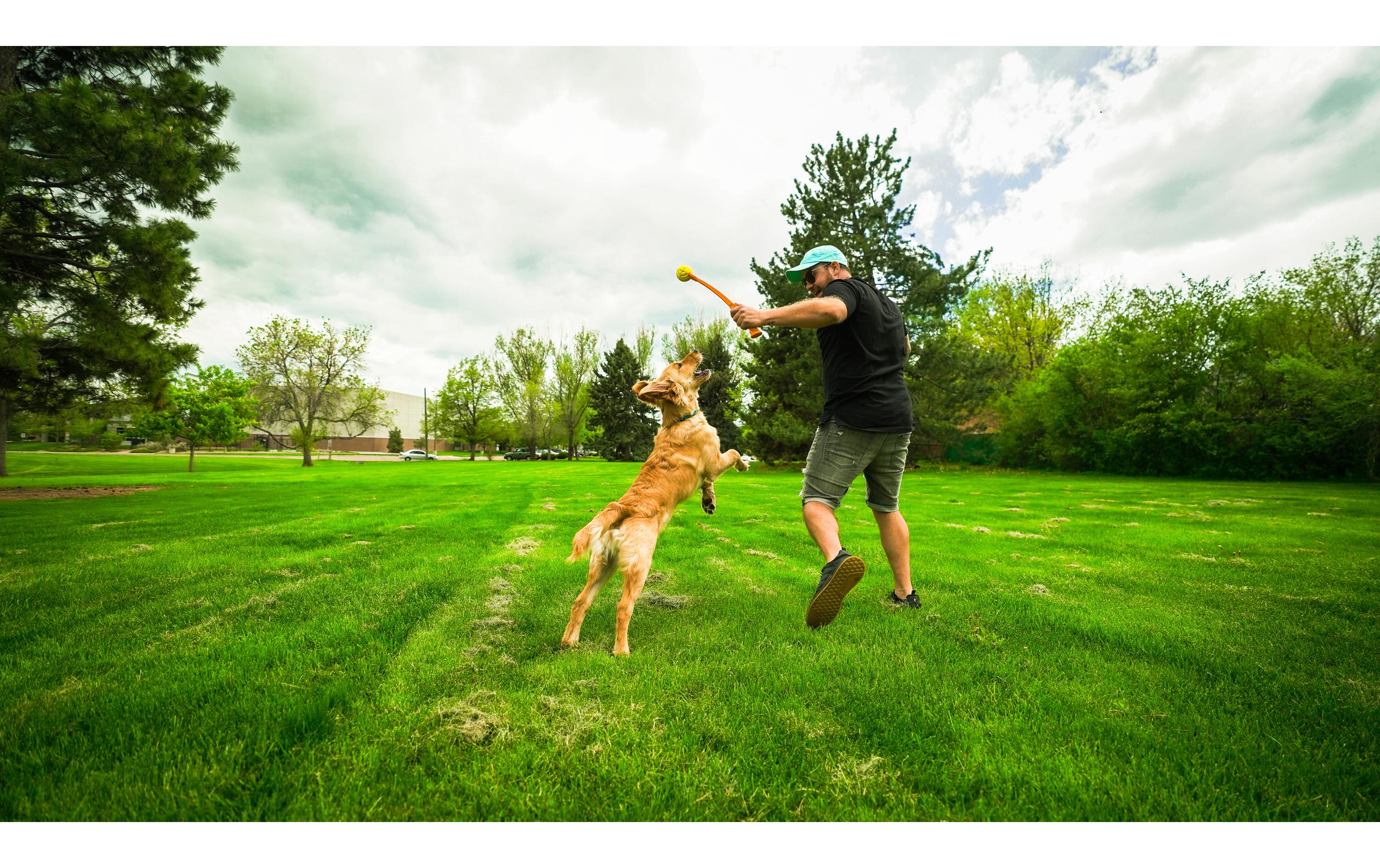 Hunde-Spielzeug Flingerz Ball mit Launcher, Orange/GelbWurf-Hundespielzeug