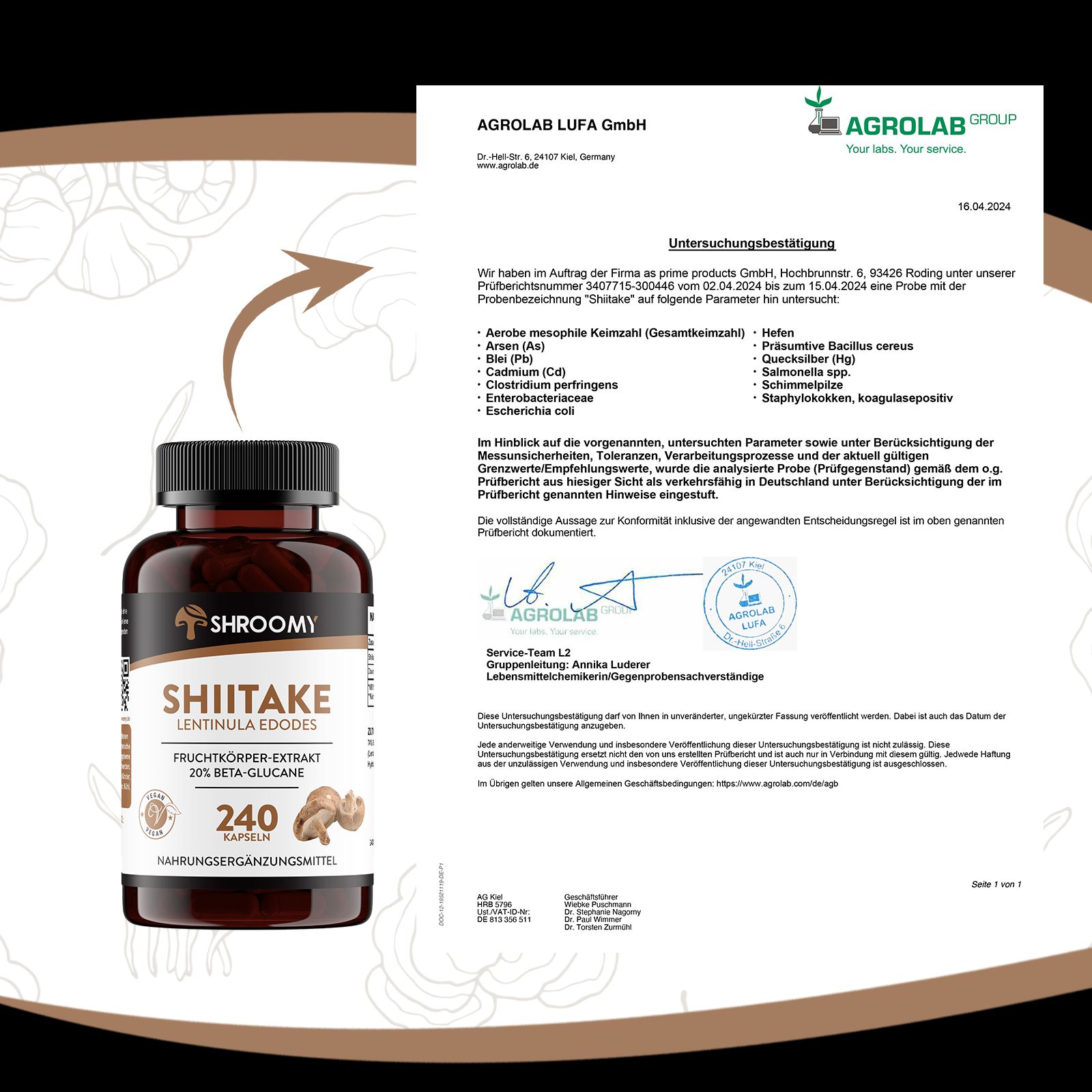 SHROOMY Shiitake Extrakt Kapseln