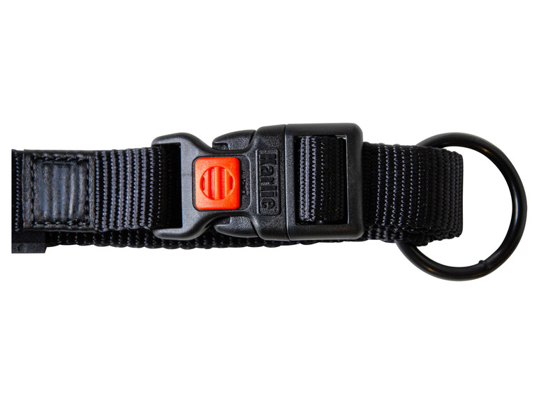 Halsband met lijn