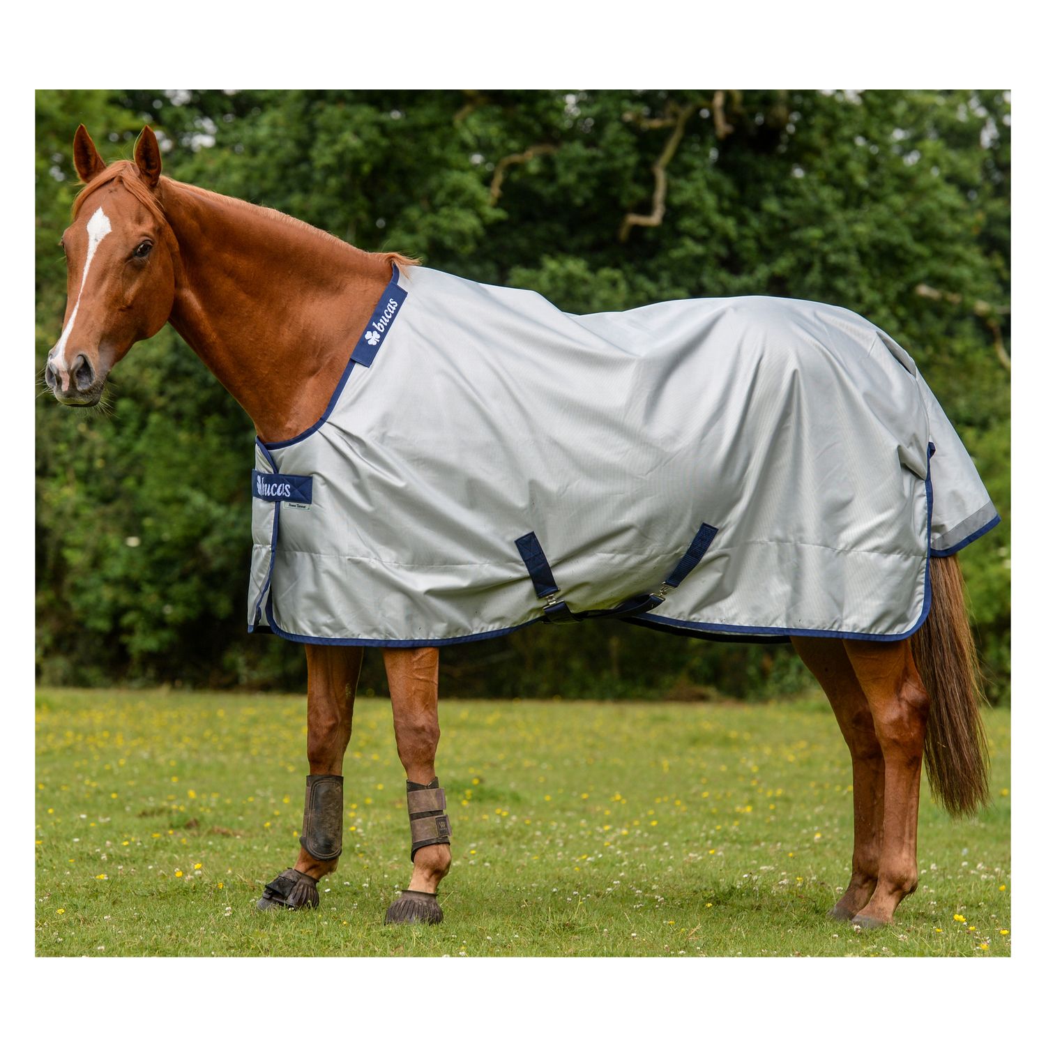 bucas Outdoordecke Power Turnout Classic Light - silber
