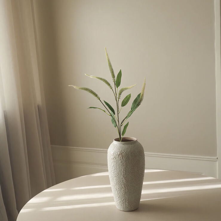 Botané Mini Amaranthus Green