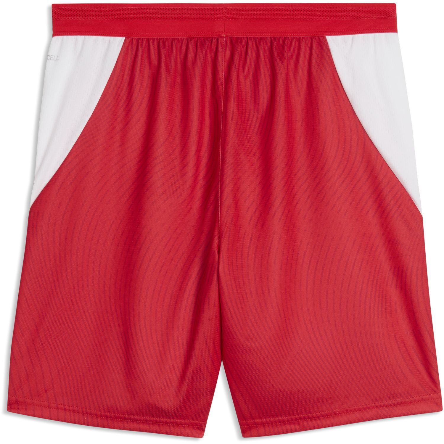 PumaSFV Shorts Replica FIFA WM26