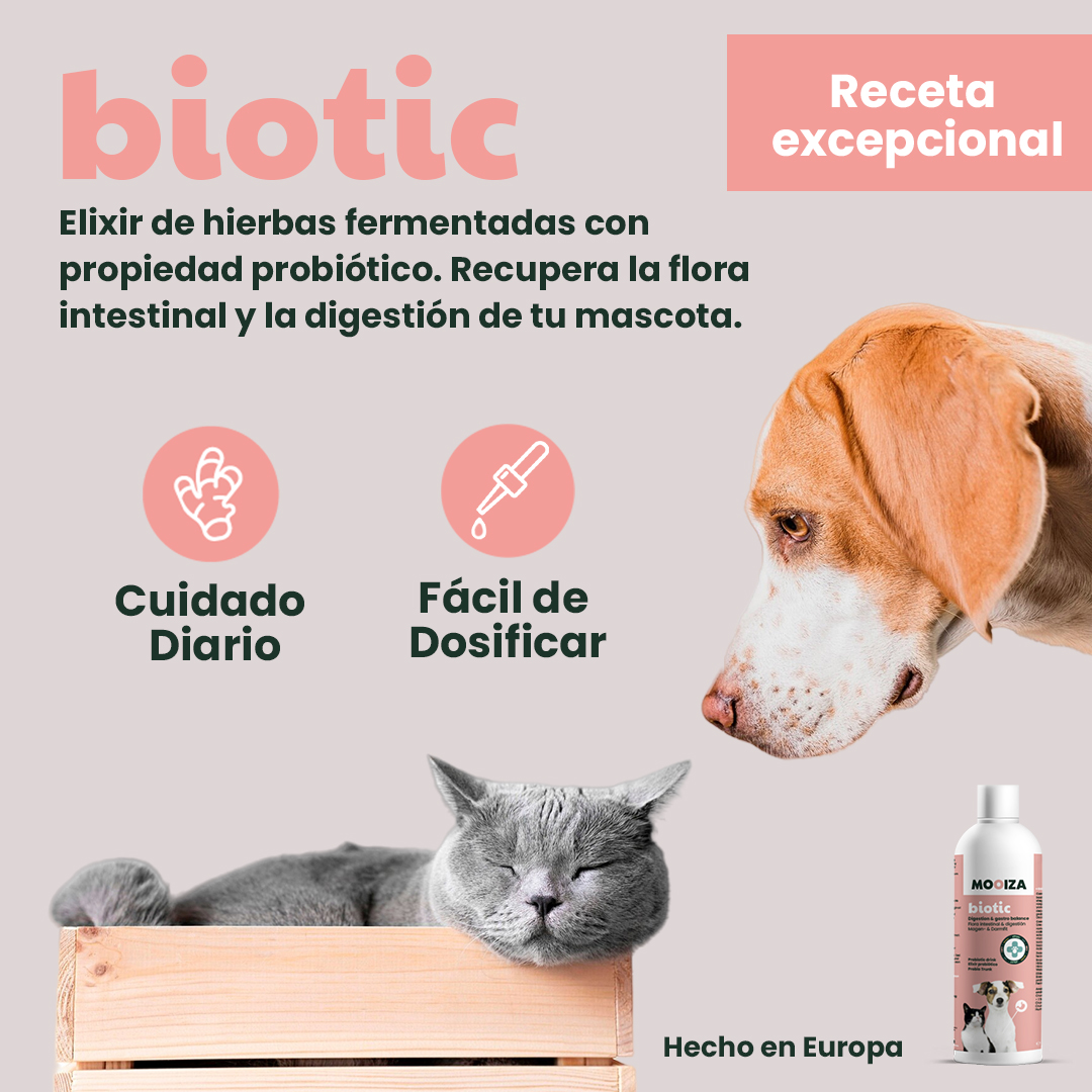 MOOIZA biótico - líquido prebiótico com ervas