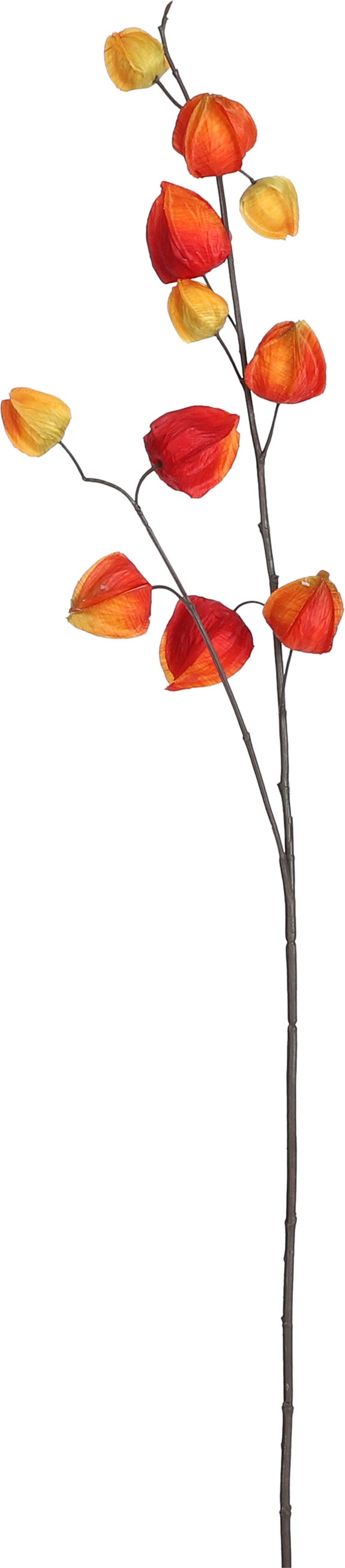 Mica Decorations kunstbloem Lampionplant oranje 94 cm