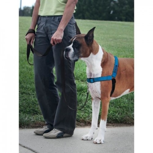 Coleira peitoral Pet Safe Easy Walk Deluxe Azul para Cães