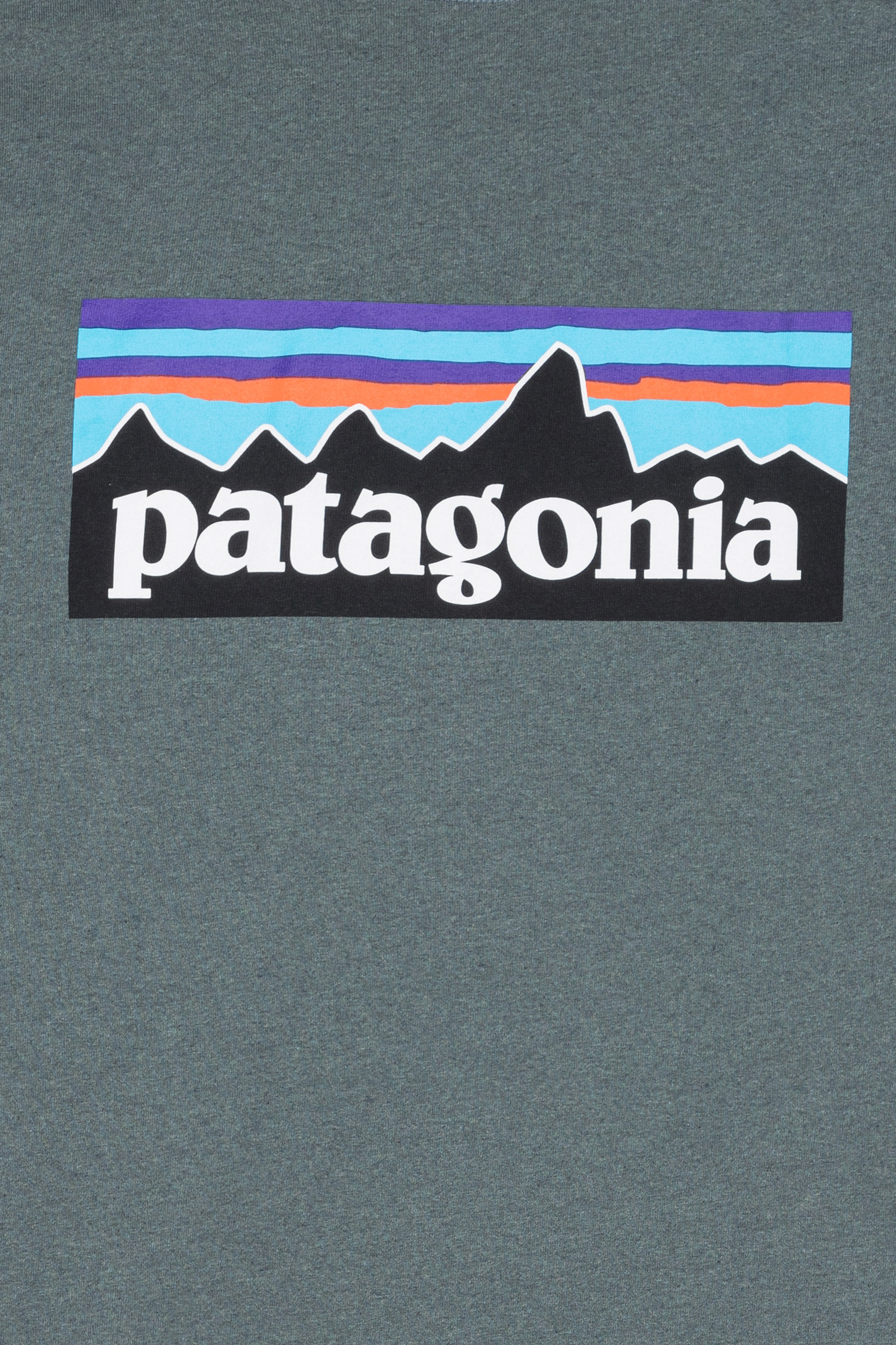 PATAGONIA T-shirt  Vert