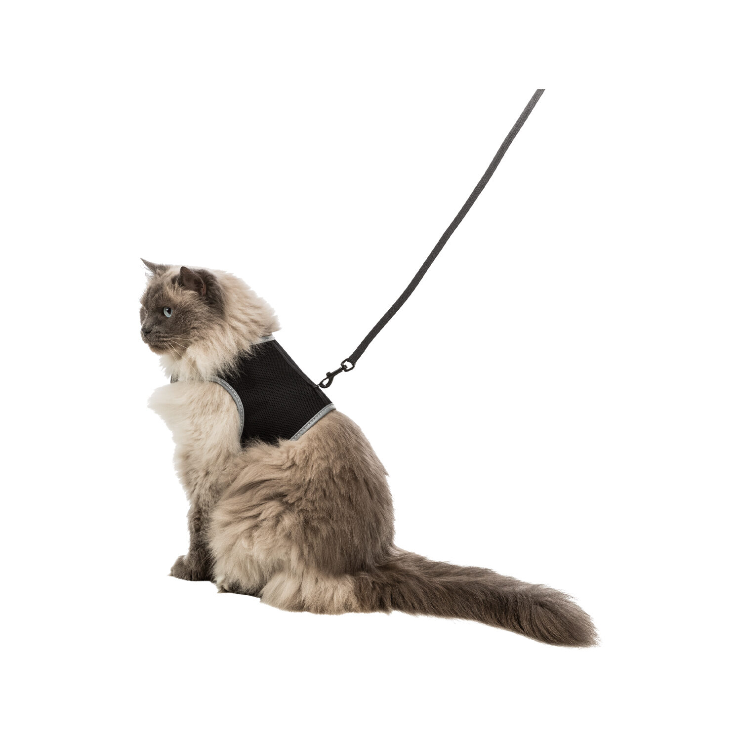 Trixie Soft-Tuig met Riem