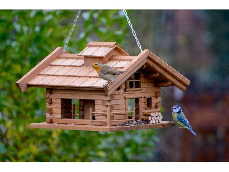 Eric Schweizer Futterspender Blüemlisalp Vogelfutterhaus