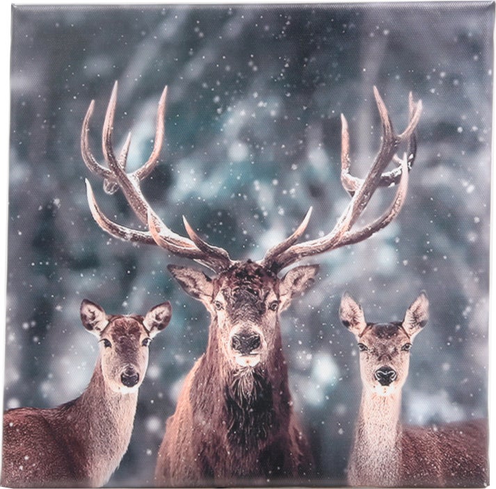 Farmwood Animals tuinschilderij Jotte herten 0,5 x 25 x 25 cm