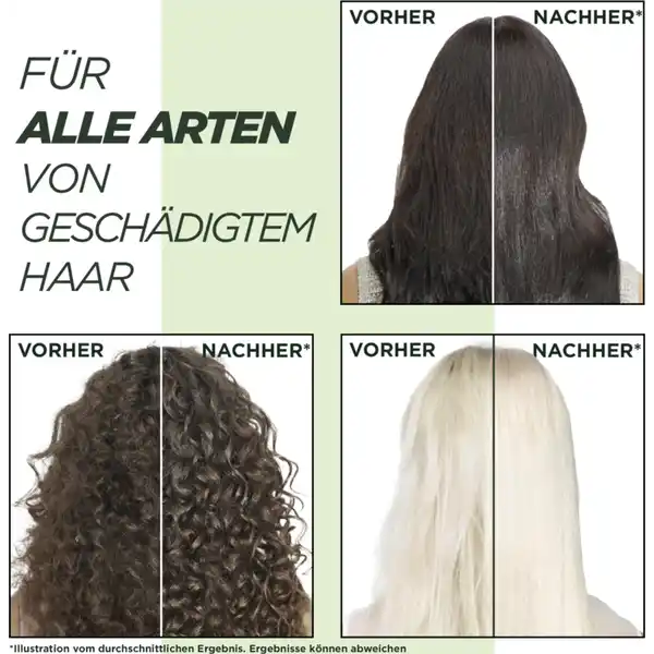 Shampoo Schadenlöscher Geschädigtes Haar