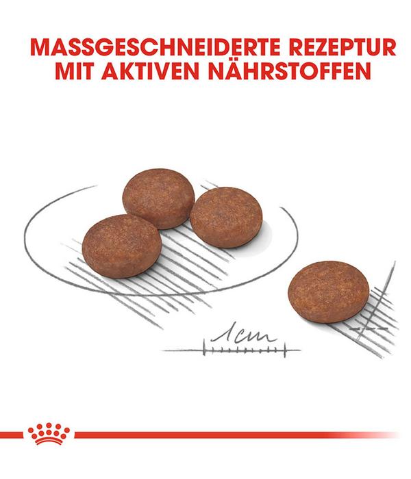 ROYAL CANIN® Trockenfutter für Hunde
