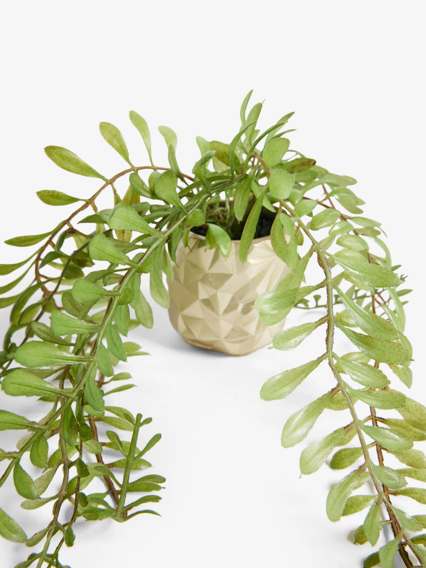 Artificial Trailing Plants In Mini Gold Hex Pots
