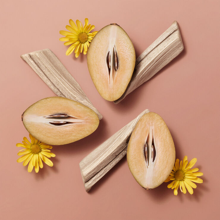 HERMÈS Hermèsistible, Infused Care Oil, Beige Sapotille