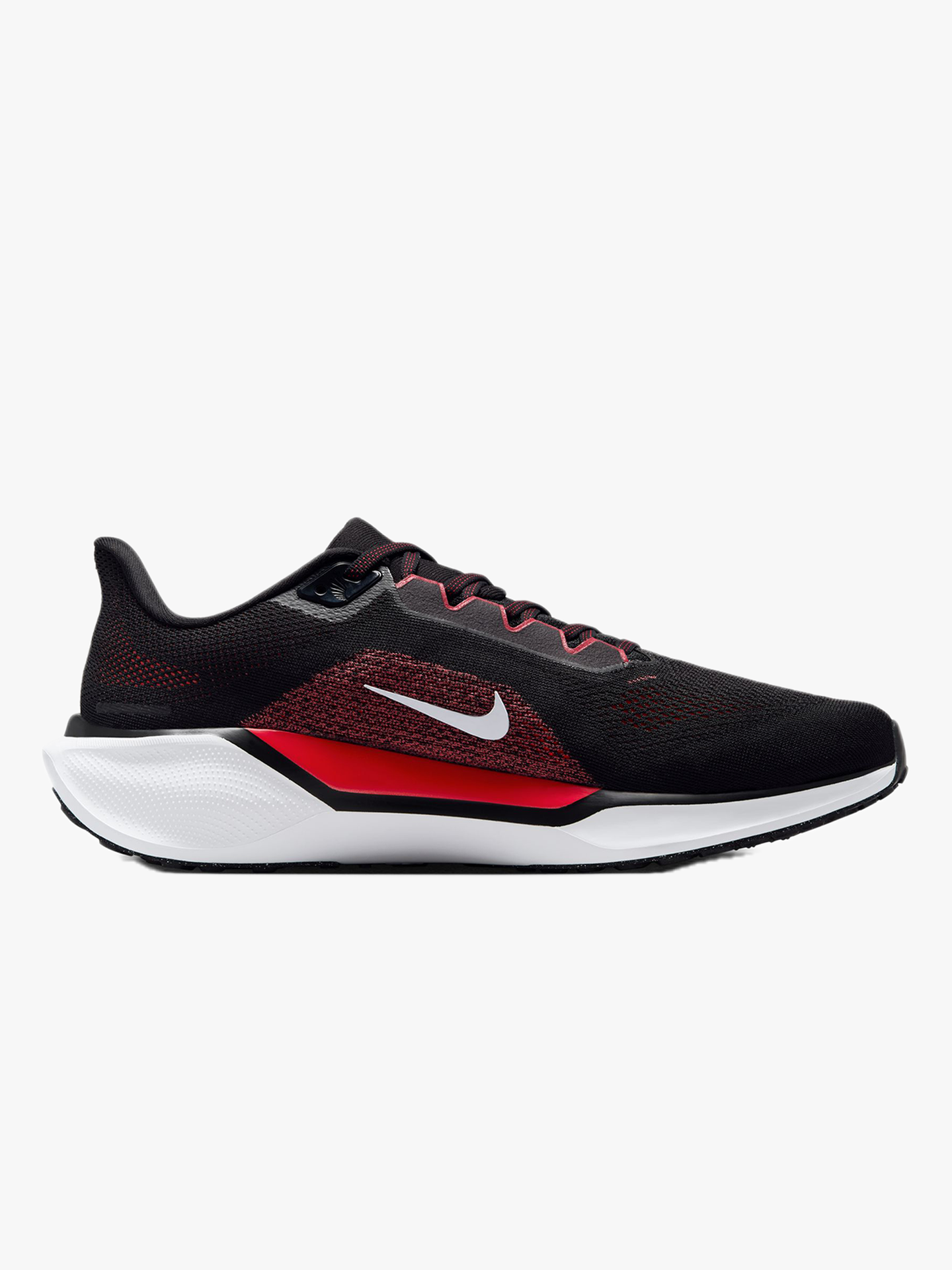 Pegasus 41