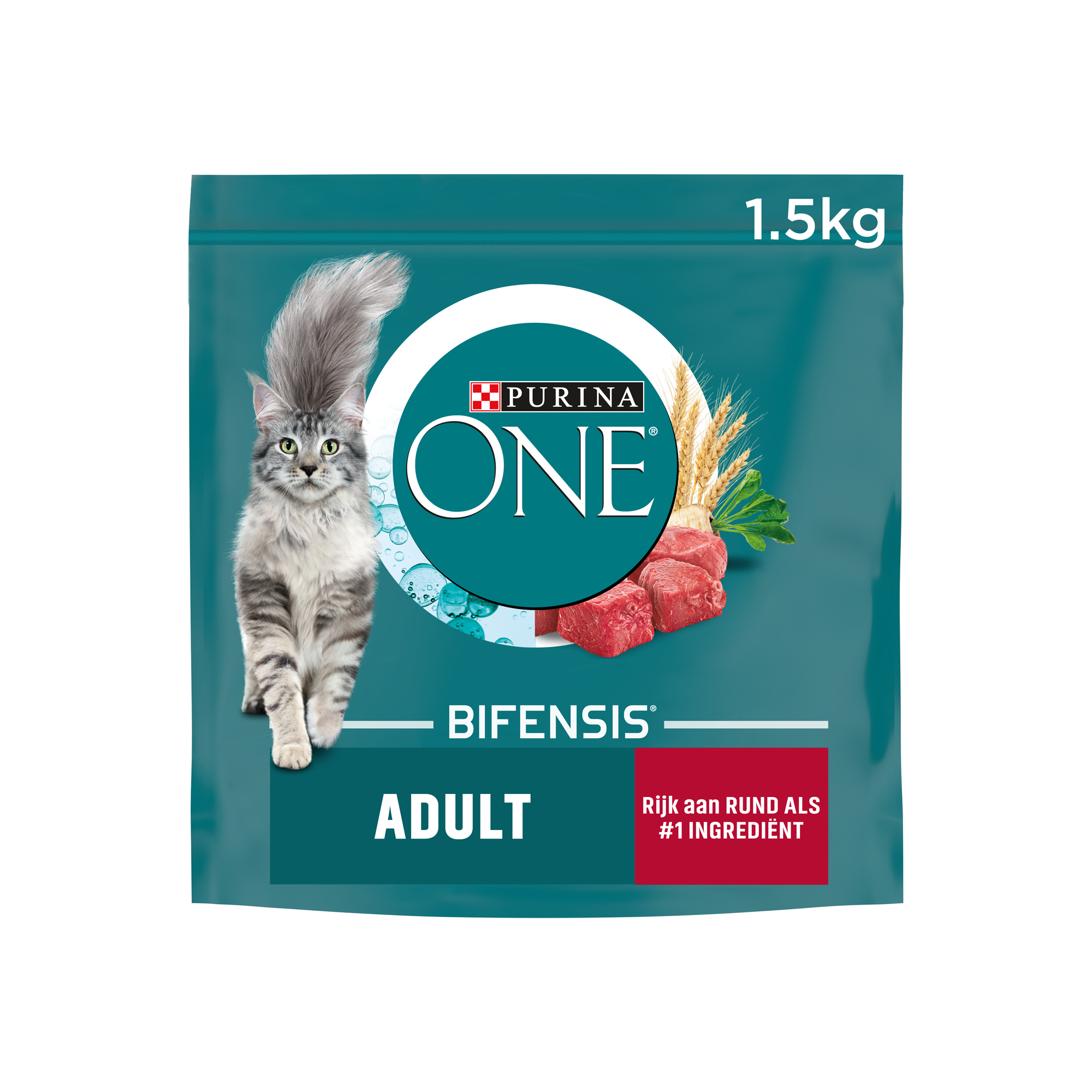 Purina ONE Adult