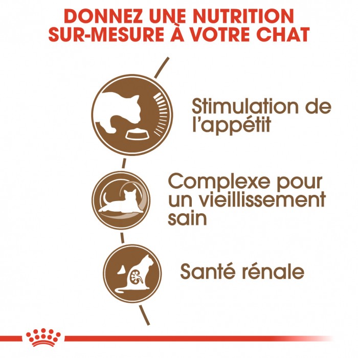 Royal Canin Ageing 12+