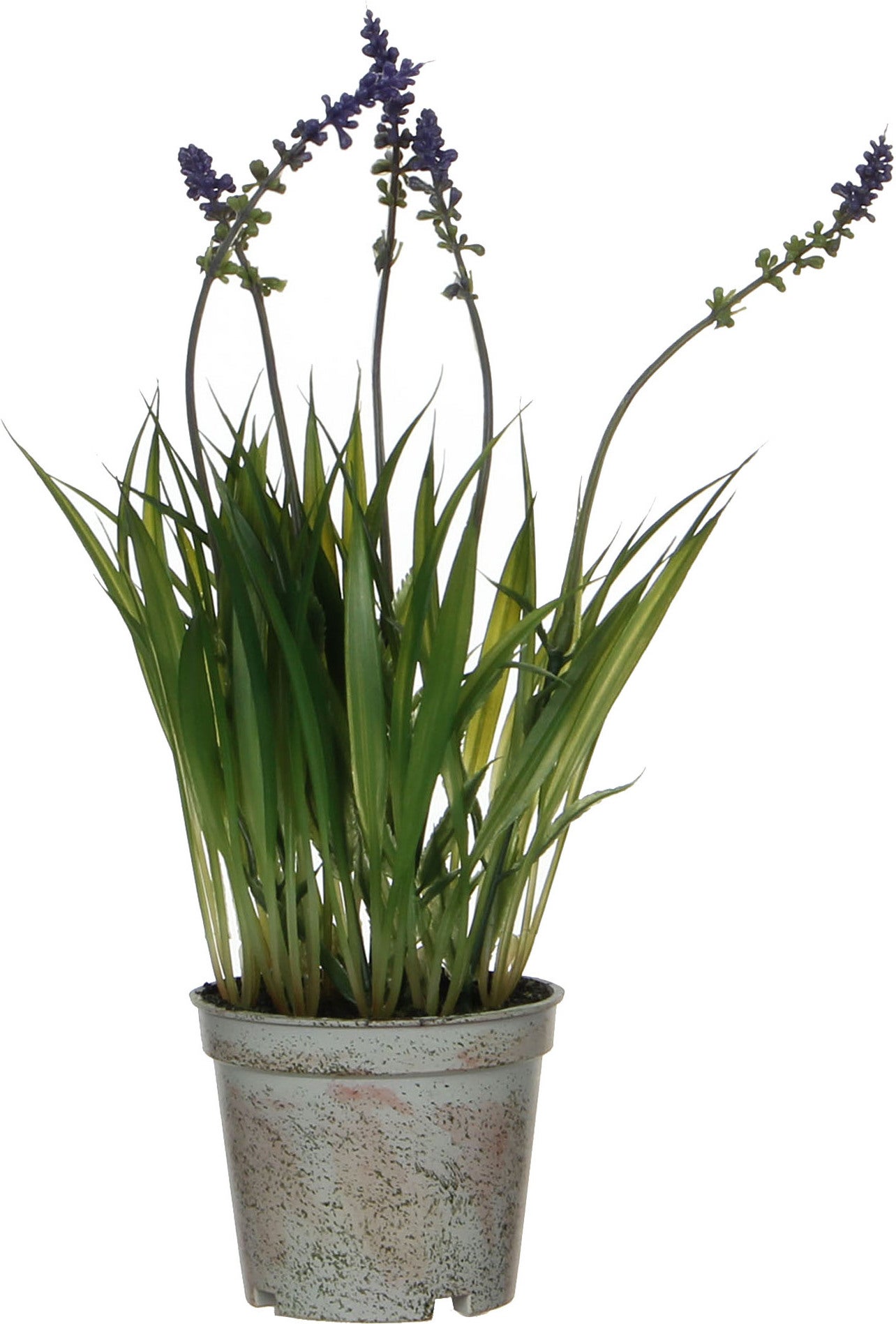 Mica Decorations kunstplant Lavendel 8,5 x 8,5 x 30 cm
