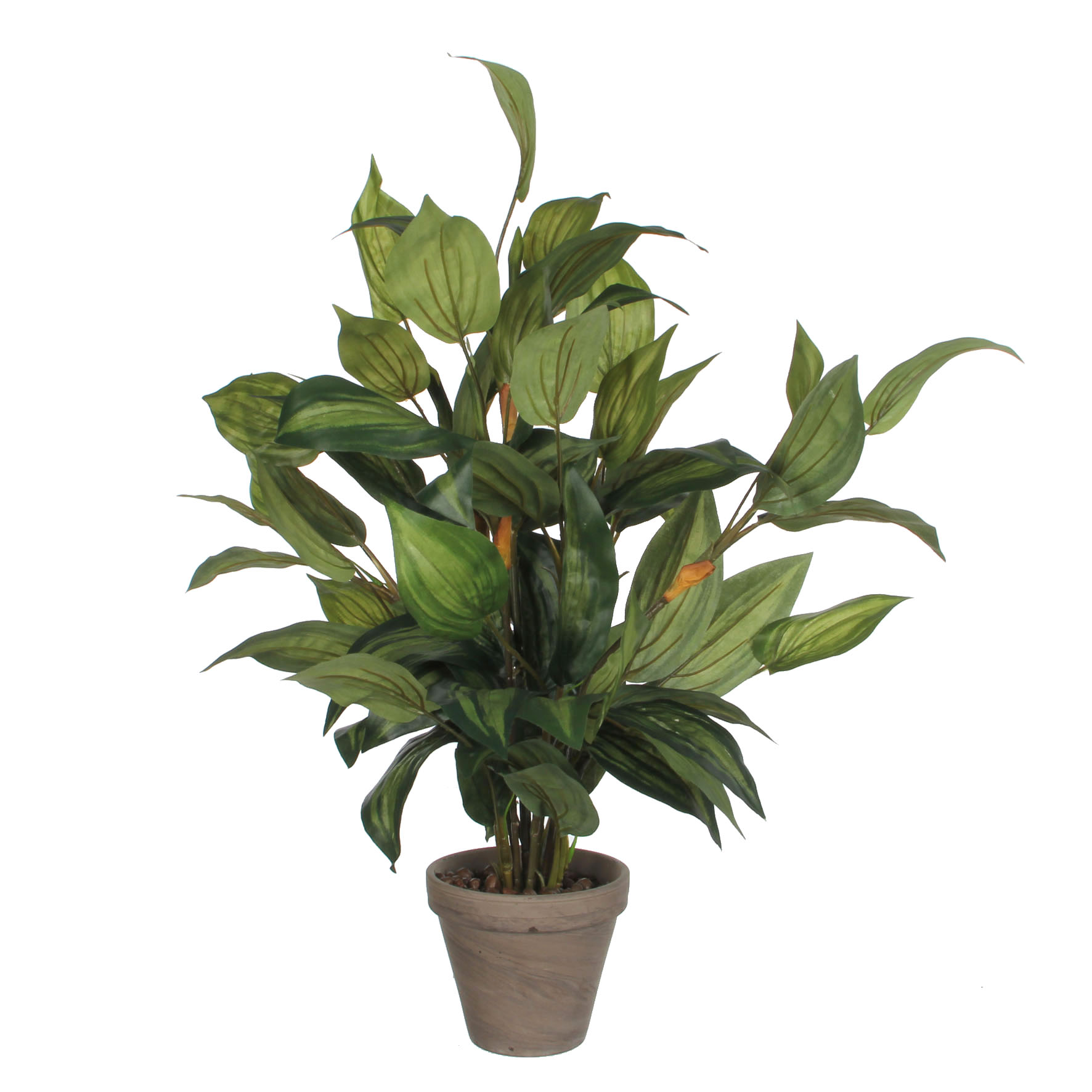 Mica decorations - hosta artificielle vert en pot h65