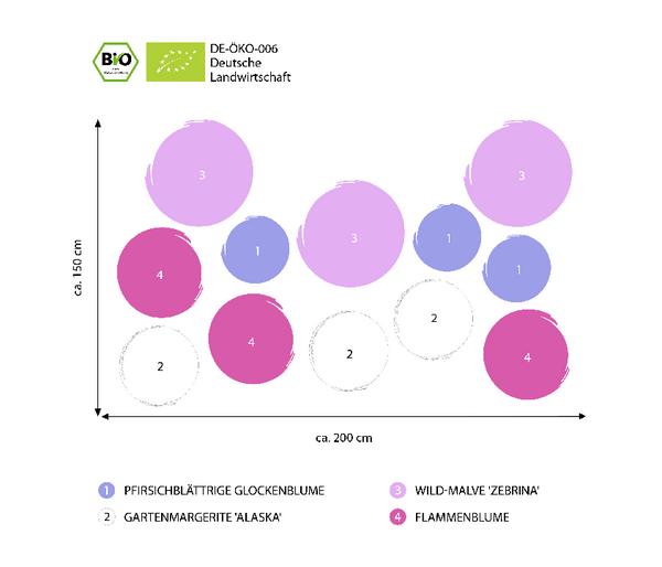 Bio Stauden-Set Landhausgarten, 12-teilig