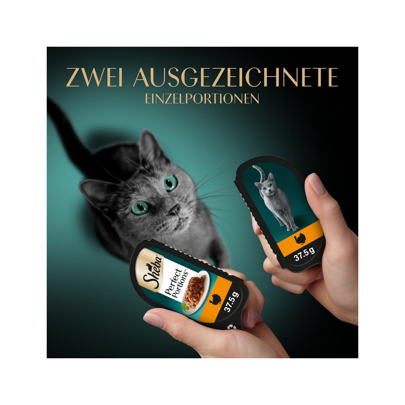 Sheba Perfect Portions Nassfutter Katze, Truthahn in Sauce 6x75 g Truthahn