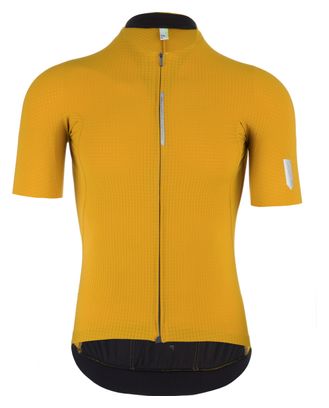Maillot Manches Courtes Q36.5 Pinstripe PRO Jaune