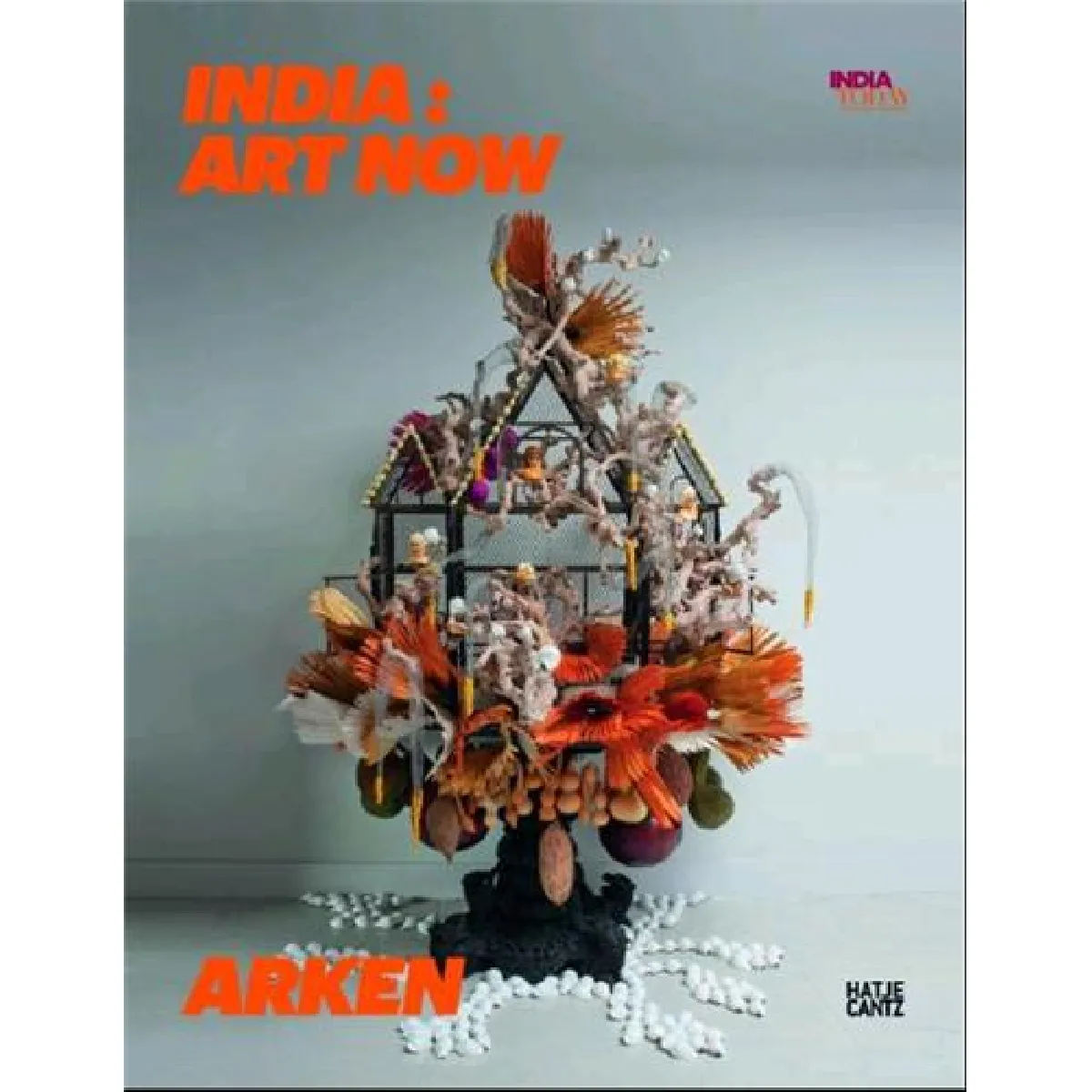 India : Art Now · Occasion