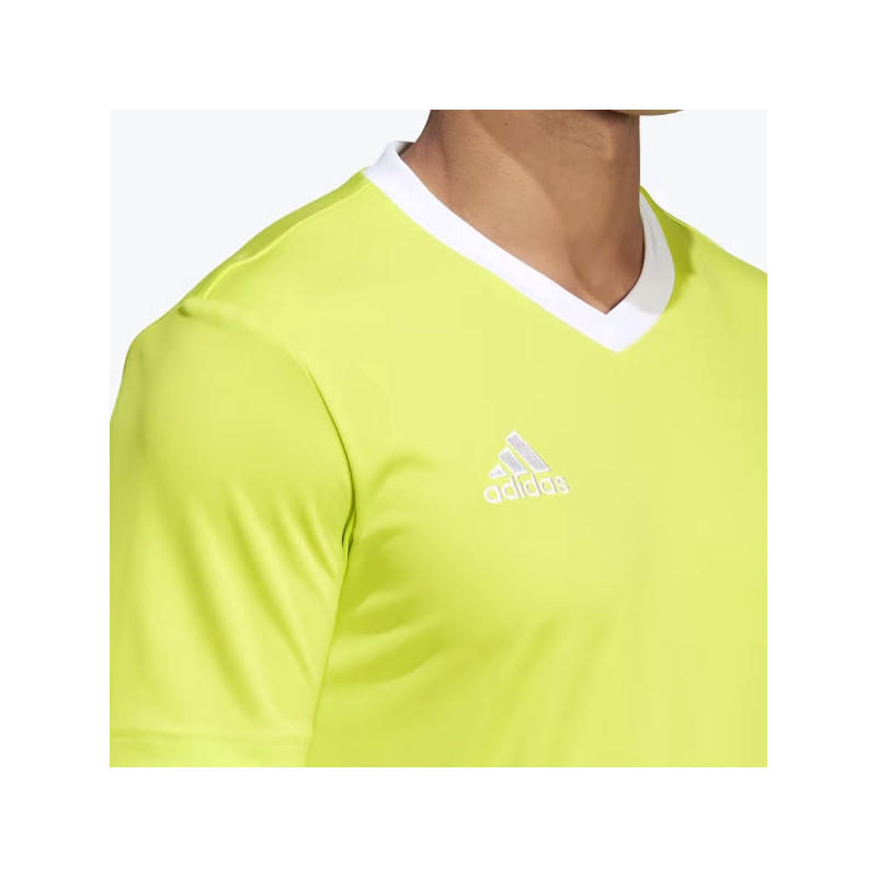 Tee-shirt sport Adidas Teamwear