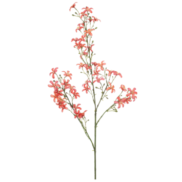 Saxifraga spray koraal 93cm