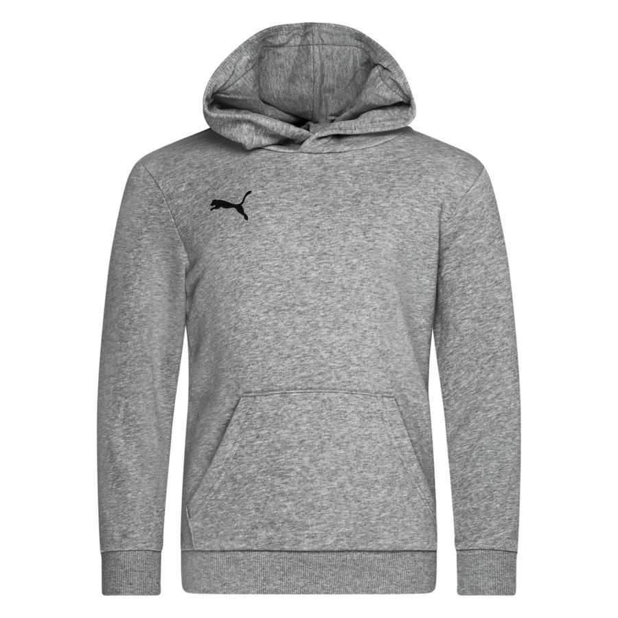 PUMA Sweat à Capuche teamGOAL 23 Casuals - Gris/Noir Enfant