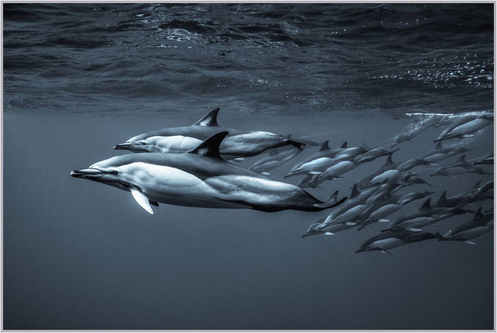 Underwater Music by George Karbus - Limited Edition. Edition of: 150. Signed.