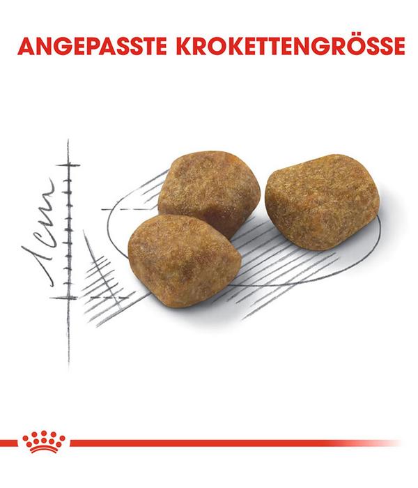 ROYAL CANIN® Trockenfutter für Katzen Indoor