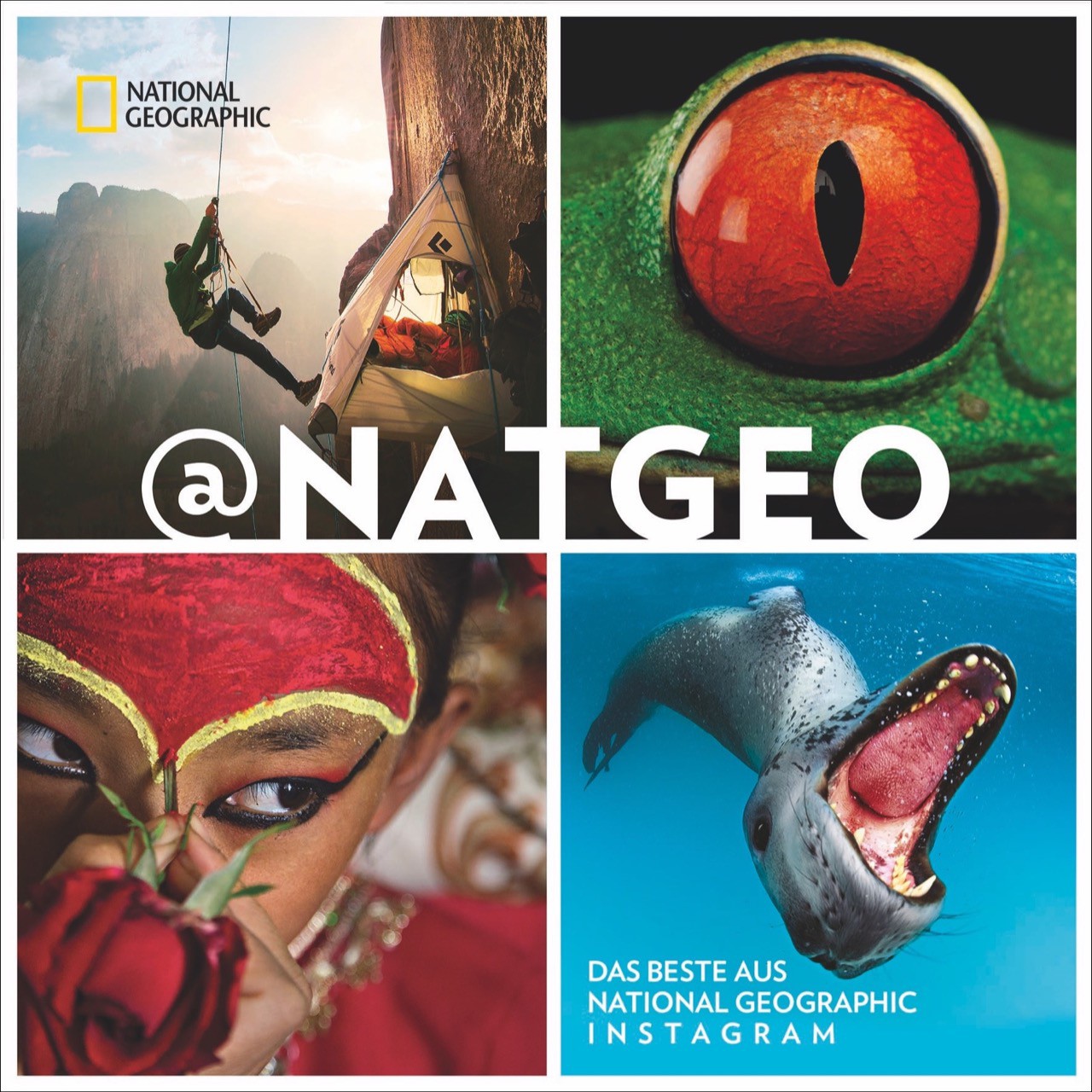 Buch 'NATGEO: Das Beste aus National Geographic Instagram' günstig bestellen