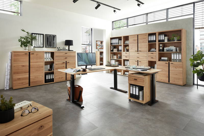 Linea Natura Akten-/Regalschrank SONOS