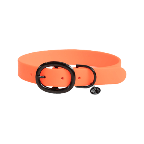 Kentucky Dogwear Soft Rubber Hondenhalsband