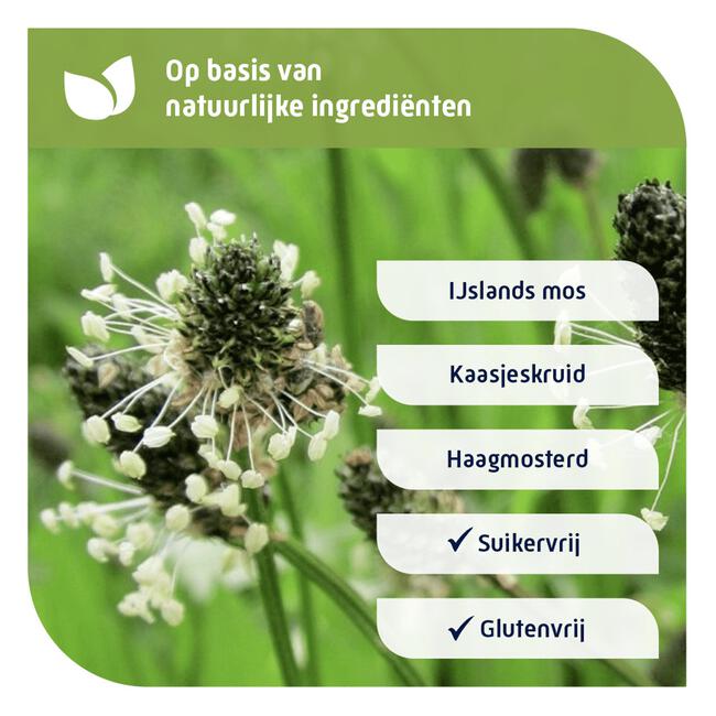 Natterman Direct Voor Alle Hoest Suikervrij Siroop 120ML