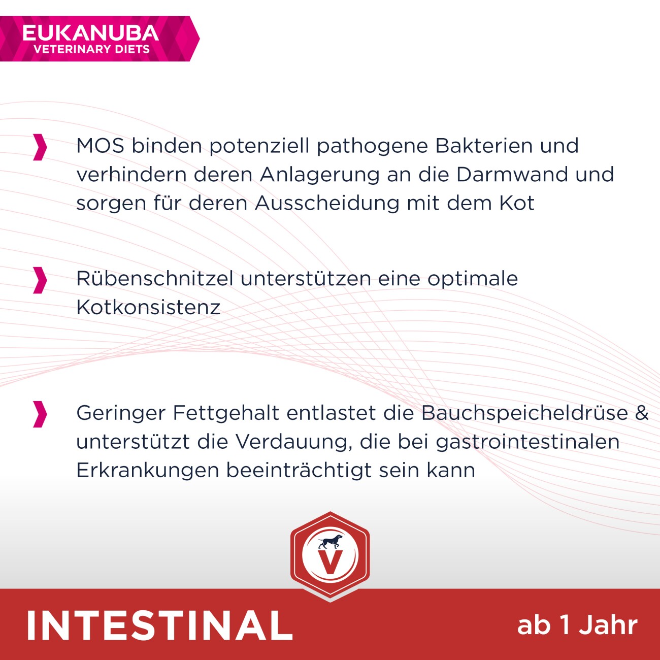 EUKANUBA Veterinary Diet Trockenfutter Hund Intestinal Adult 5 kg