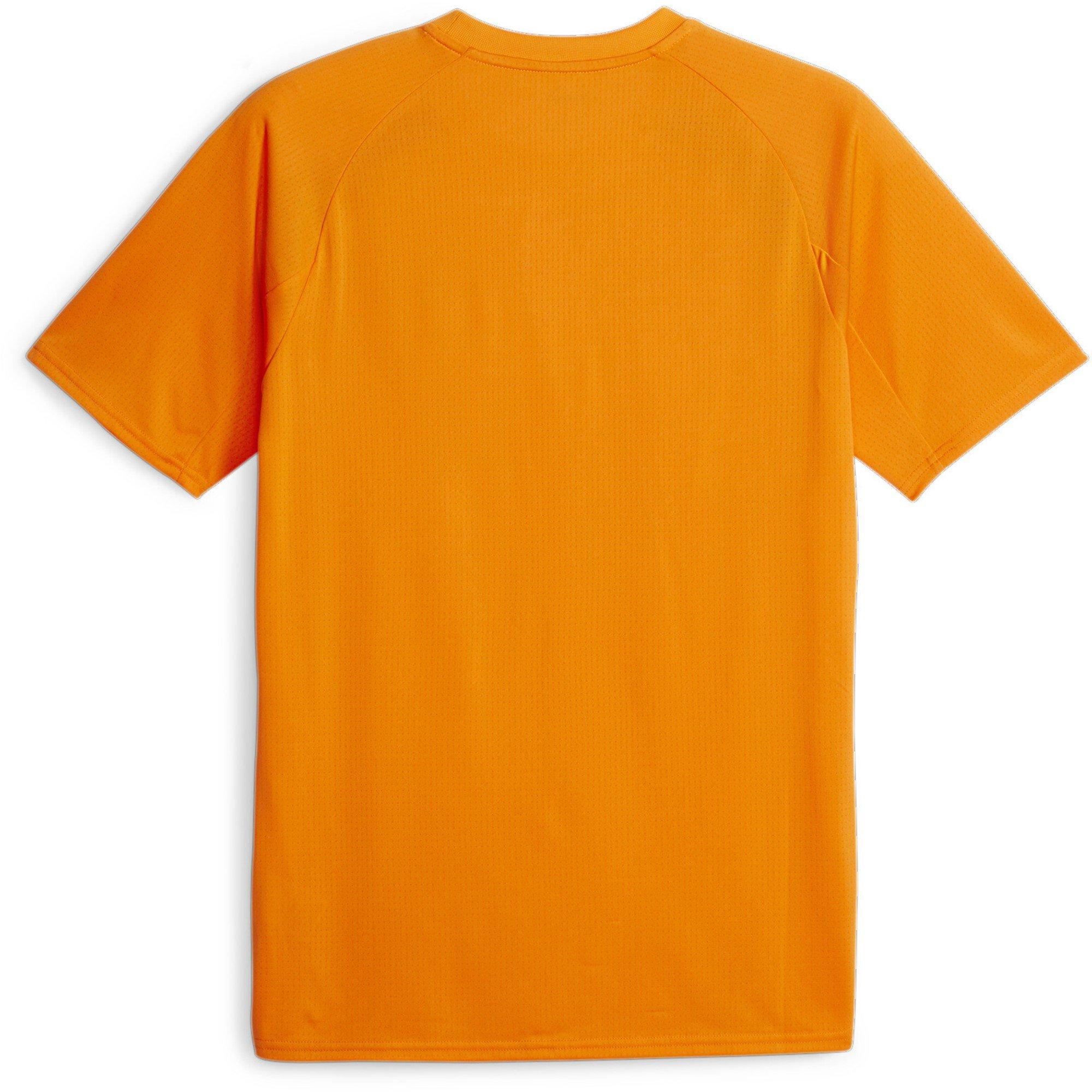 Puma Manchester City Pre Match Shirt 2023 2024 Adults